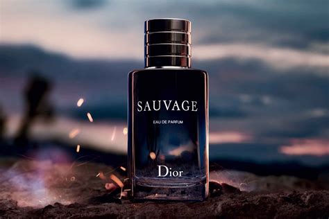 dior sauvage price in singapore|dior sauvage best price.